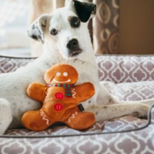 Charger l'image dans la galerie, Bonhomme en Pin d'épices