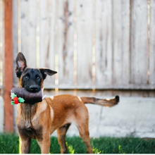 Cargar imagen en el visor de la galería, Buche de Noël