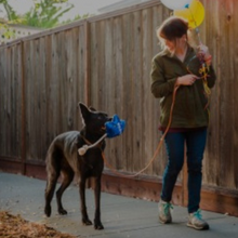 Cargar imagen en el visor de la galería, Ballon party time
