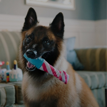 Cargar imagen en el visor de la galería, Sifflet party time