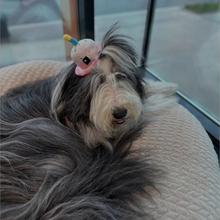 Cargar imagen en el visor de la galería, Chapeau de gâteau