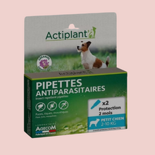 Charger l'image dans la galerie, Actiplant - pipettes antiparasitaires Chiens