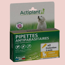 Charger l'image dans la galerie, Actiplant - pipettes antiparasitaires Chiens
