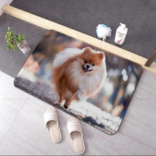Charger l'image dans la galerie, Tapis absorbant Pomeranian 1